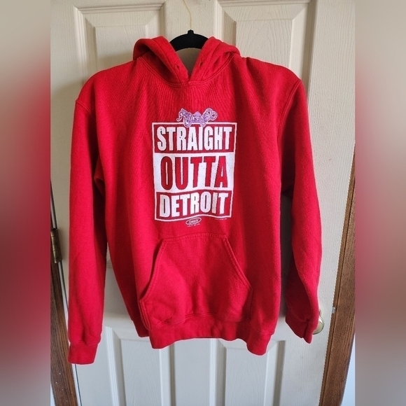 Detroit Red Wings Hoodie size S - Picture 1 of 3